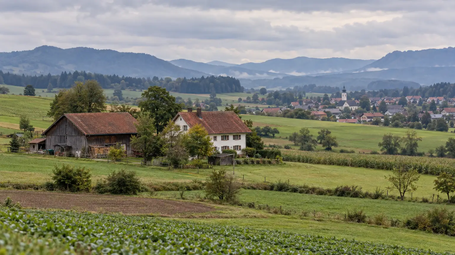 Einzelner Hof mit Wohnhaus und Scheune in offener Feldflur, das Dorf liegt in der Ferne
